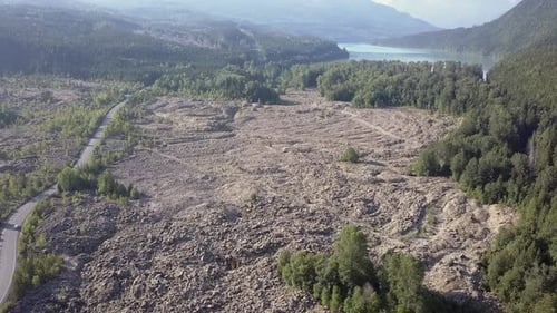 Aerial View of Landscape with Trees and Lake