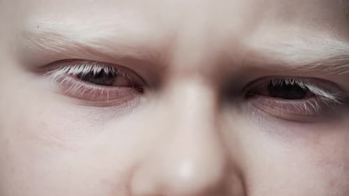 Close Up of Eyes Opening, White Hair