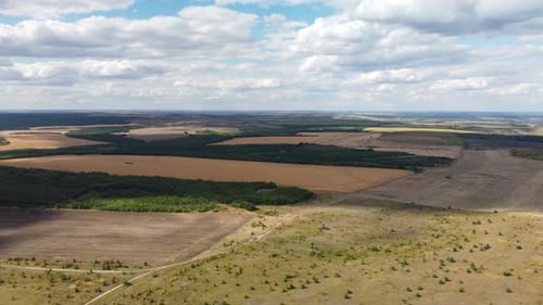 Wheat Fields Aerial View