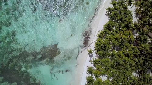 Scenic Drone Footage of Crystal Water at Saona Island Dominican Republic