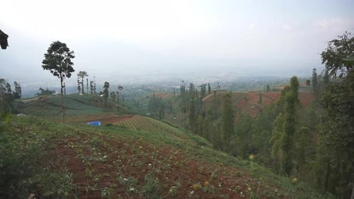 natural scenery mountains natural panorama hills, and forest of tall green trees and slopes of green