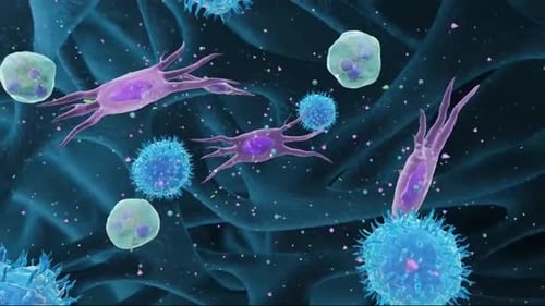 Immune cells attacking virus in human body