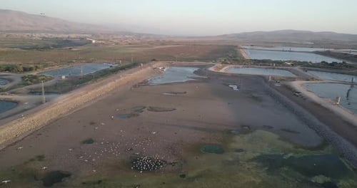 Cigognes blanches volant Près de la caméra, vue aérienne