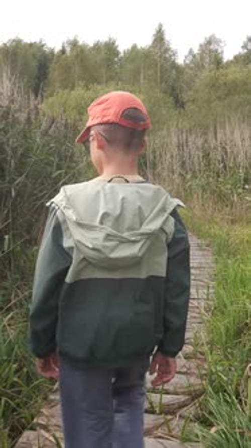 Vertical Video Youngster Walking on Wooden Path Surrounded By Reeds in Nature Reserve