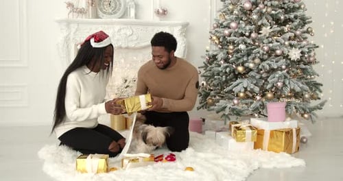 Couple Wrapping Christmas Presents at Home with Dog