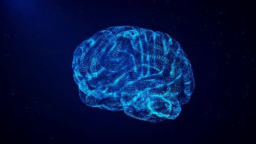 Cyber-cerveau, hologramme numérique, cerveau humain, HUD, IA, intelligence artificielle ou machine à données profondes