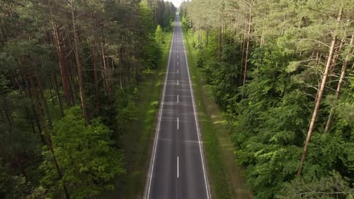 Aerial shot between the trees over the straight empty asphalt road vanishing in the horizon in the m