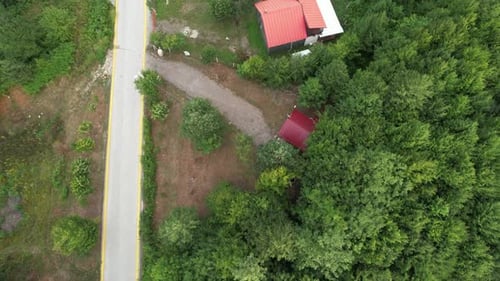 Road and Rural Settlement