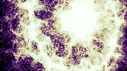 Abstract Lighting Dust Particle and Glare on a Dark Background