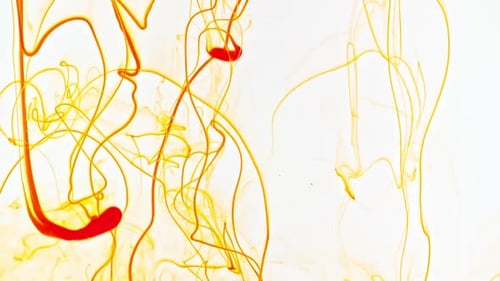 Vibrant Red and Yellow Colors Swirling in Water