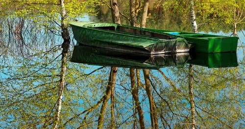 Boats Moored Near Trees That Standing In Water During Spring Flood Floodwaters