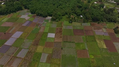 Aerial view of rural farming fields and mountain village, Indonesia.