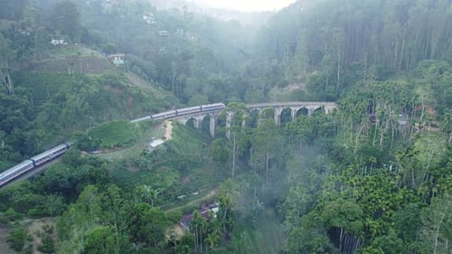 A Train Travels Across an Arched Bridge in the Jungle