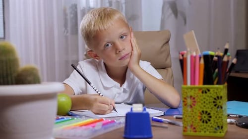 Boy Studying at Desk Indoors