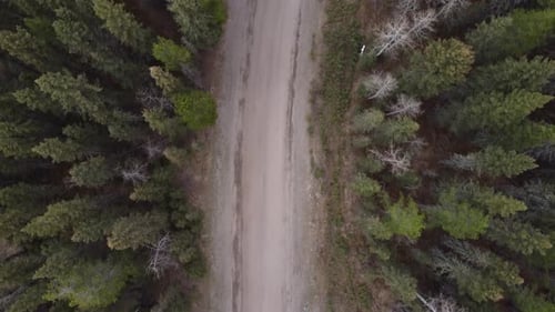 Aerial view of the road in the forest right between winter and spring
