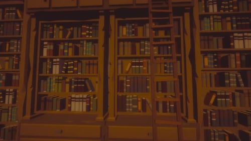 Old Library Book Shelves