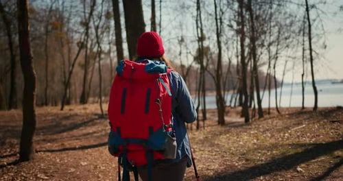 Backpacker Hiker Girl with Hiking Poles Walking Between Trees in a Mountain Forest Hispanic Teenager