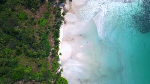 tropical beach turquoise wate, lush green vegetation. Stunning aerial view flight drone