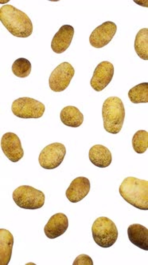 Animated Potatoes Floating Seamlessly on White Background