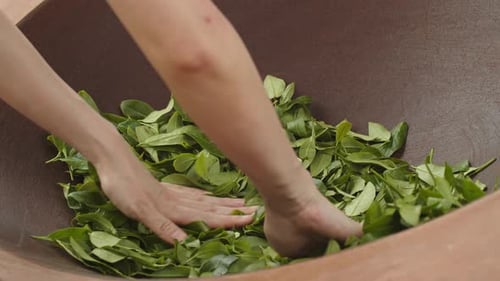 Close up on woman’s hands stirring fresh green tea leaves inside traditional firing pan.