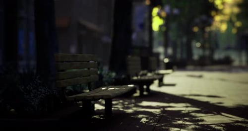 Wooden Benches in a Quiet Urban Park at Sunset
