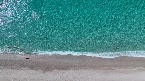Aerial View Crystal Clear Water Beach People Paddleboarding and Sunbathing