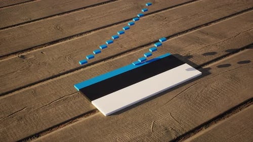 Estonian Flag Building with 3D Blocks Animation