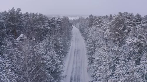 Aerial Footage of Road in Winter Forest Landscape
