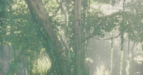 Lush Green Jungle Environment with Sunlight Filtering Through Foliage