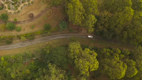 High altitude aerial perspective tracking white vehicle driving along dirt road below tree canopy.