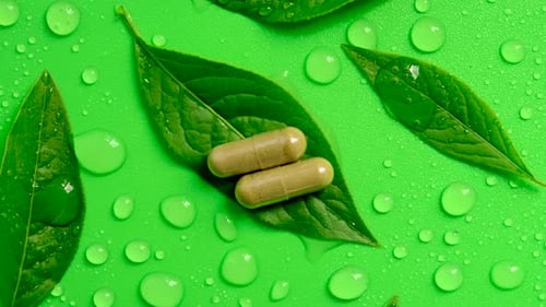 Capsules on Leaf with Water Droplets