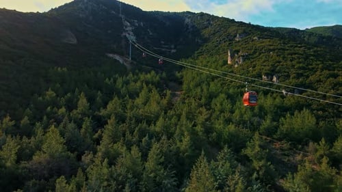A green forest with a red cable car