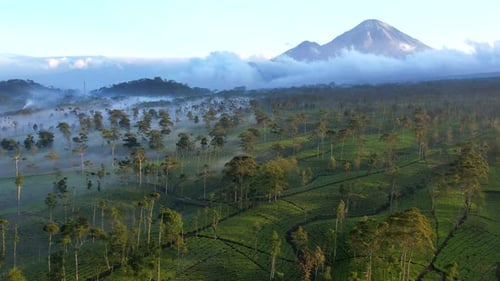 Aerial Sunrise Mountain view in Wonosobo