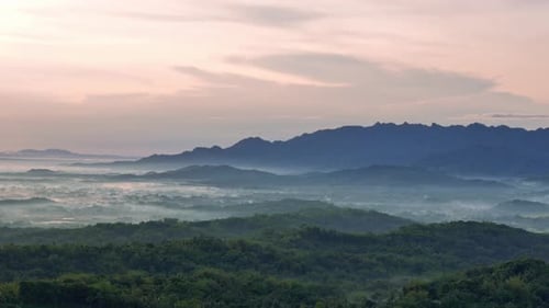 Aerial view of Natural scenery of green forest and hills on the horizon in slightly foggy morning.