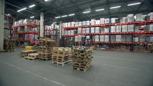 Workers Operate Forklifts in Large Warehouse with Stocked Shelves