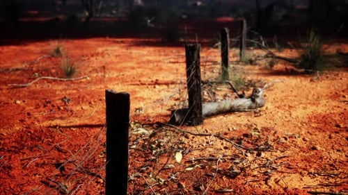 Desert Landscape 3D Animation With Rustic Barbed Wire Fence Post