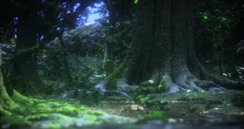 Majestic Old Tree Surrounded By Lush Greenery in a Tranquil Forest