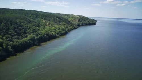 Aerial View of Forest and River Landscape