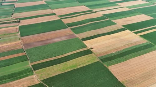 Aerial View of Agriculture Fields