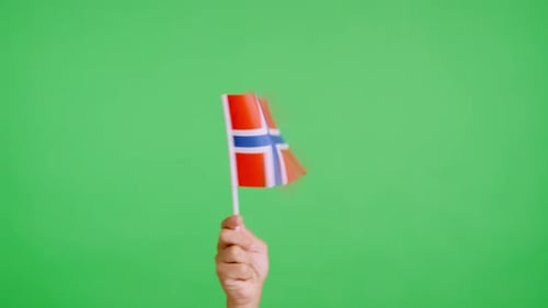 Hand Waving Flag on Green Screen