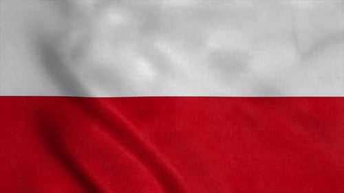 Seamless Loop of Realistic Waving Poland Flag