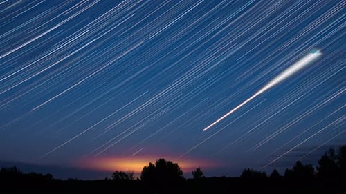 Star Trails Time-Lapse over Dark Forest Landscape