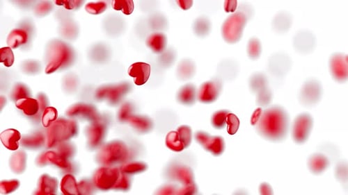 Romantic Falling Red Hearts Looping Background