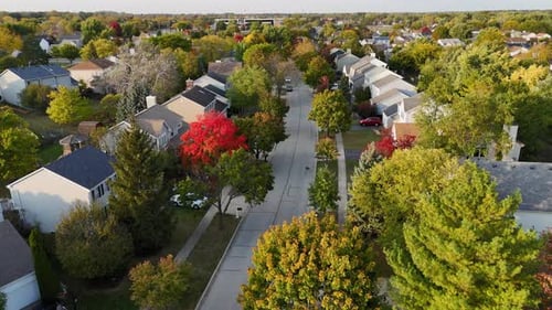 TreeLined Suburban Street in Autumn Colors Aerial View of a Quiet Suburban Street Surrounded By