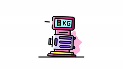 Airport Luggage Scale