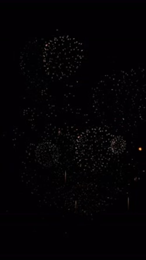 Colorful Firework Bursts on Alpha Channel for Celebrations