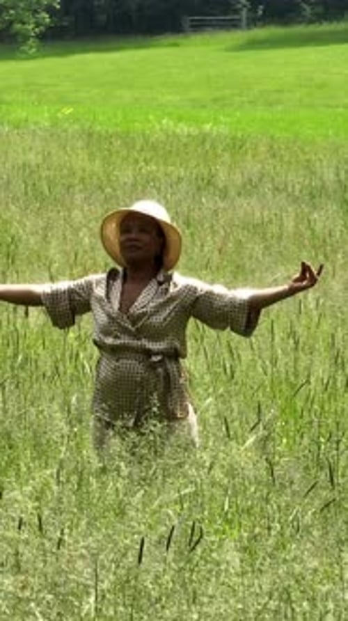 Celebrating Nature A Person Joyfully Stands in a Lush Green Field Embracing Freedom