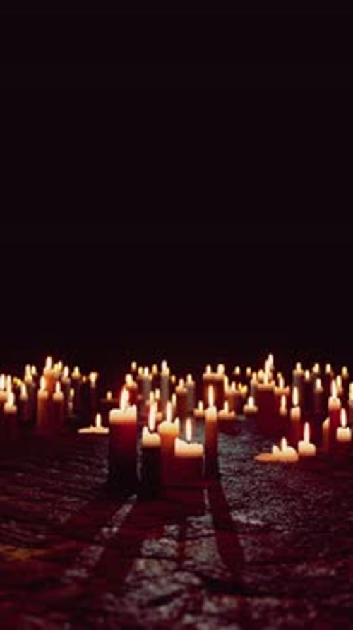 Many Candles Floating in Water