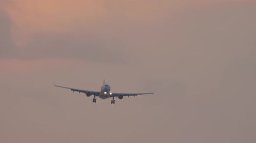 Flugzeug im rosafarbenen Sonnenuntergang