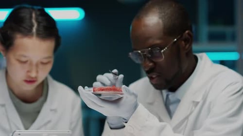 Scientists Examining Lab Grown Meat Sample in Petri Dish